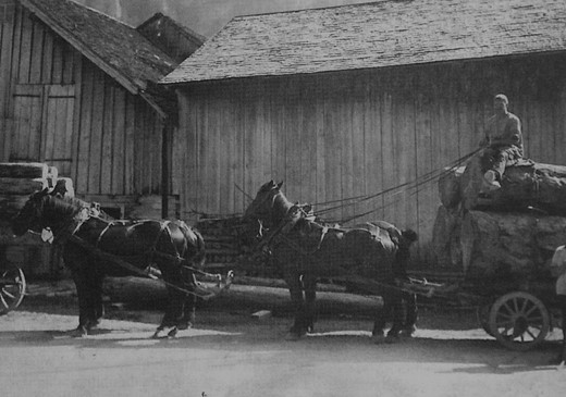 Foto Holztransport