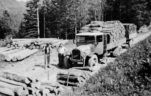 Foto Transport von Papierholz