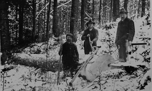 Foto Holzergruppe im Winter mit gefälltem Stamm