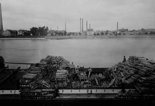 Foto Papierholzverlad im Rheinschiff
