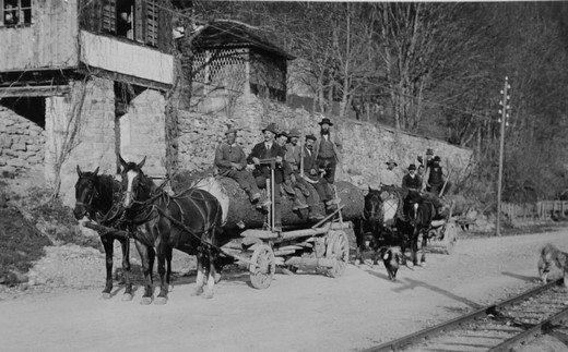 Foto Holztransport zur Bahn