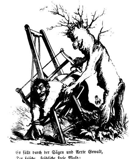 Foto Natur schlägt zurück