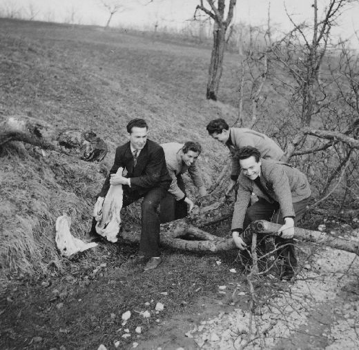 Foto Holz aufräumen