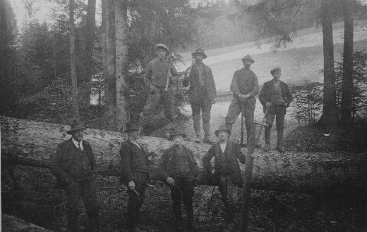 Foto Holzer auf einem Stamm