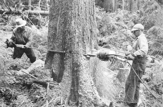 Foto Elektrische Kettensäge