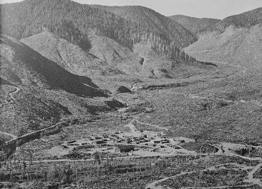 Foto Kahlschlag, Clearcut