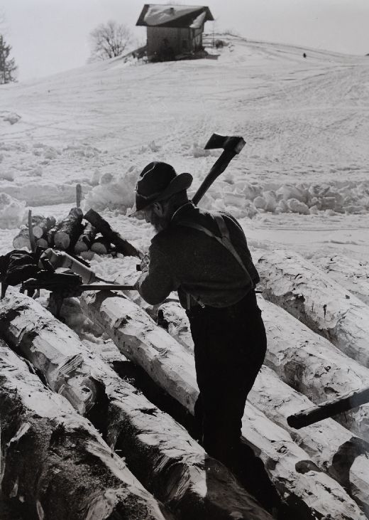 Foto Entrinden auf Lagerplatz