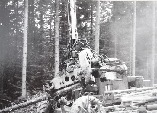 Foto Schwedischer Vollernter