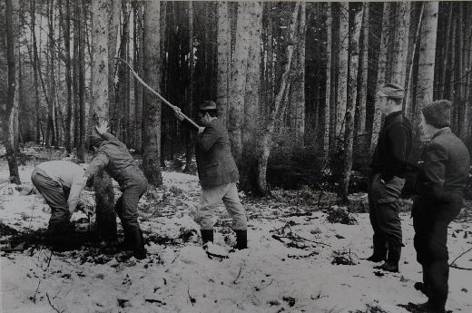 Foto Nachgestellte Unfallsituation