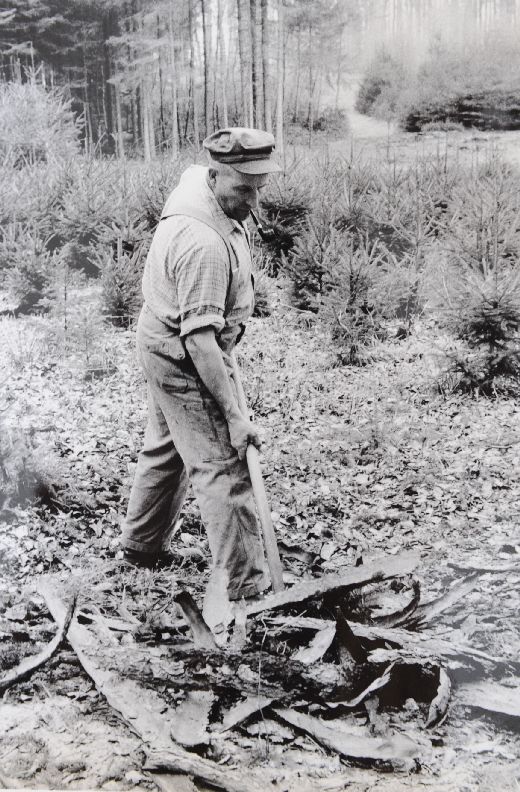 Foto Wegräumen von Rindenmaterial