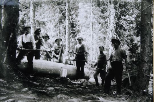 Foto Holzergruppe im Wald