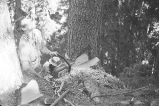 Foto Fällen mit Motorsäge