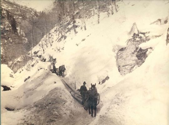 Foto Trämeltransport im Winter