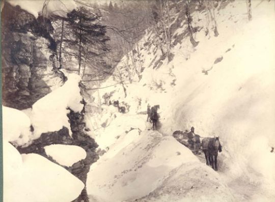 Foto Rücken mit Pferden