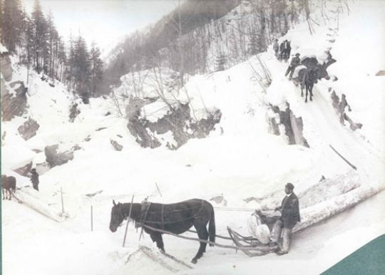 Foto Talfahrt mit Pferdeschlitten