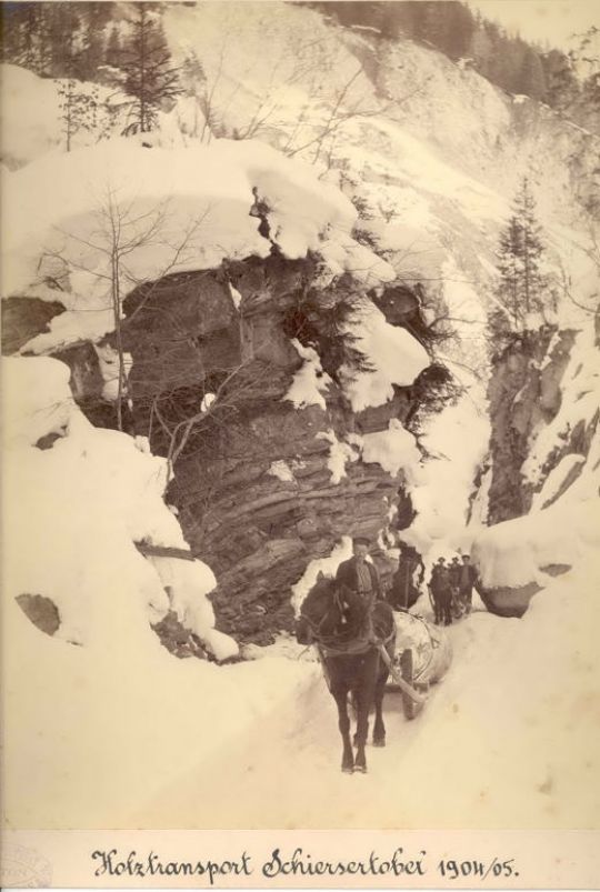 Foto Rücken mit Pferden