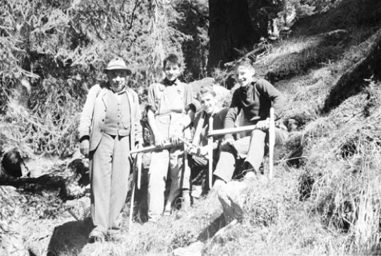 Foto Vollkluppierung für den WP Bergell