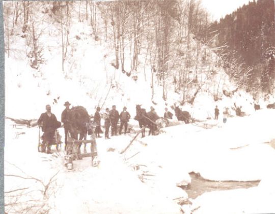 Foto Transport mit Pferden