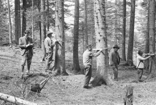 Foto Vollkluppierung