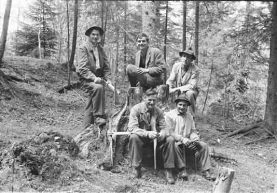 Foto Vollkluppierung