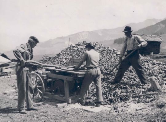 Foto Astholzaufbereitung