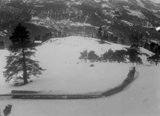 Foto Holztransport mit Pferdeschlitten