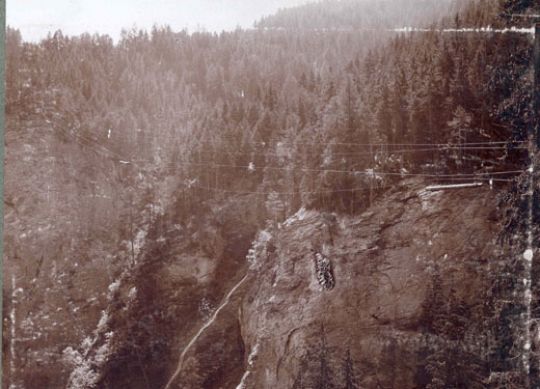 Foto Umlaufseilbahn mit Holzstämmen