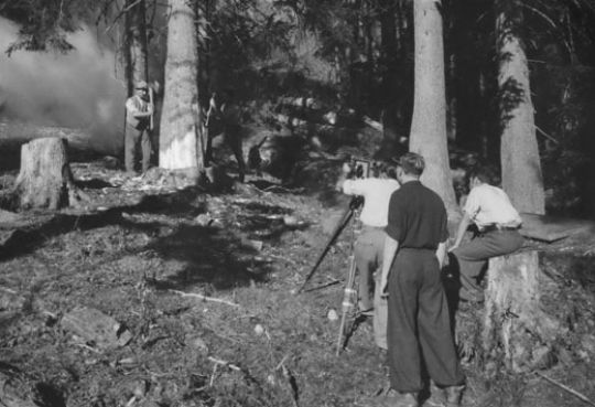 Foto Filmaufnahmen  im Wald zur Holzerei