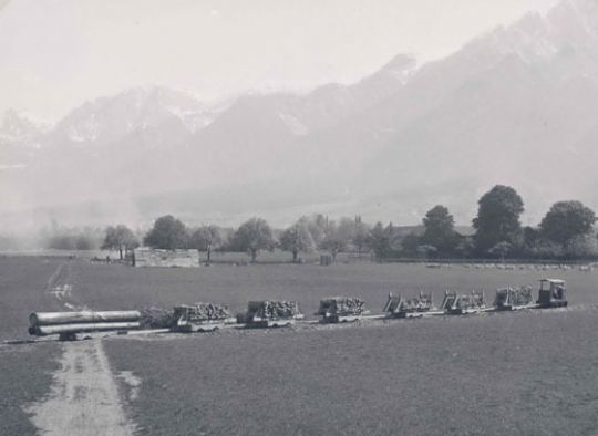 Foto Holztransport per Bähnli