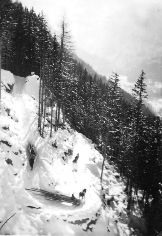 Foto Holztransport im Schnee