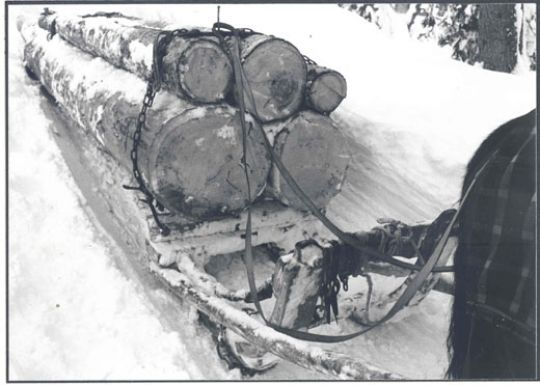 Foto Holztransport mit Pferdeschlitten