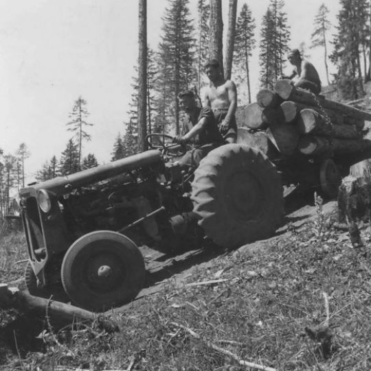 Foto Holz rücken mit Traktor