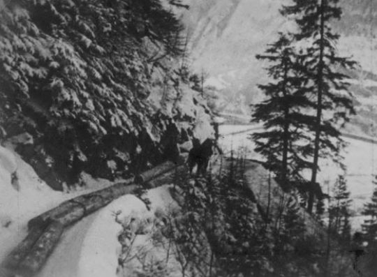 Foto Rücken mit Pferd und Schlitten