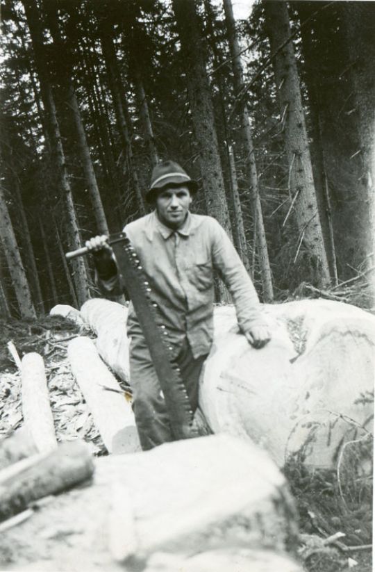 Foto Akkordant mit Waldsäge