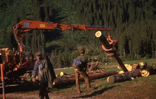 Foto Holzverlad mit Kran