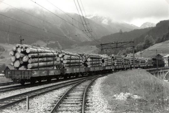 Foto Bahntransport von Holz