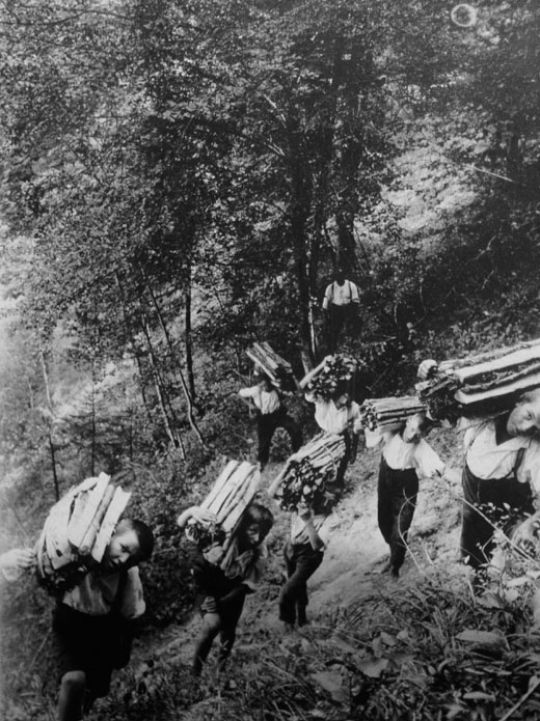 Foto Büscheli Transport von Waisenkindern