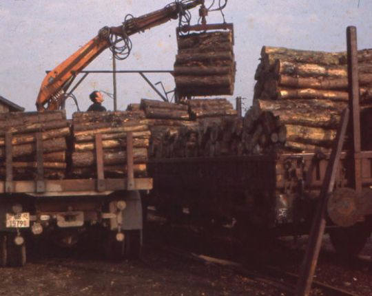 Foto Bahnverlad Papierholz