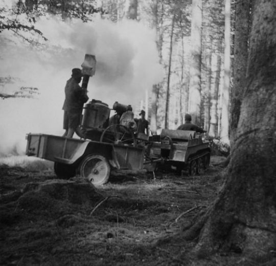 Foto Borkenkäferbekämpfung im Wald