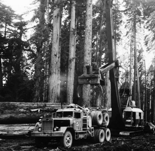 Foto LKW für Holztransport USA