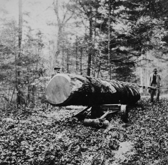 Foto Vorrücken mit Rückerolli