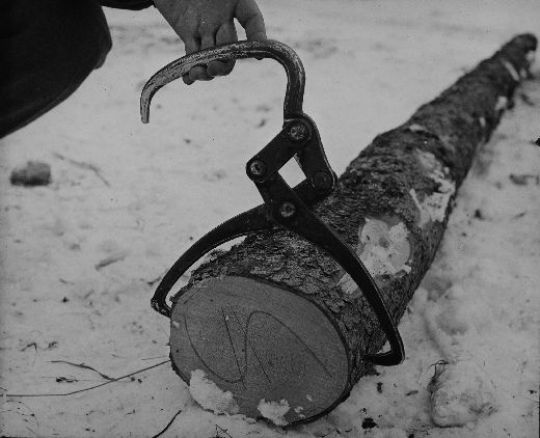 Foto Rückezange für Kleinholz