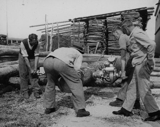 Foto Zersägen von Brennholz