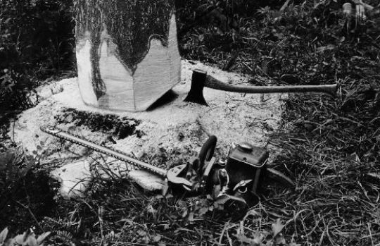 Foto Stilleben, Motorsäge mit Axt