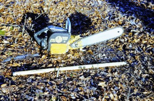 Foto Mc Culloch Säge