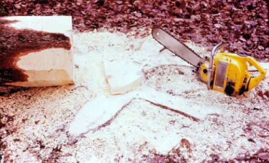 Foto Gefällter Stamm mit Säge