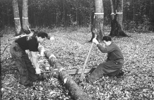 Foto Einschneiden mit ZMS