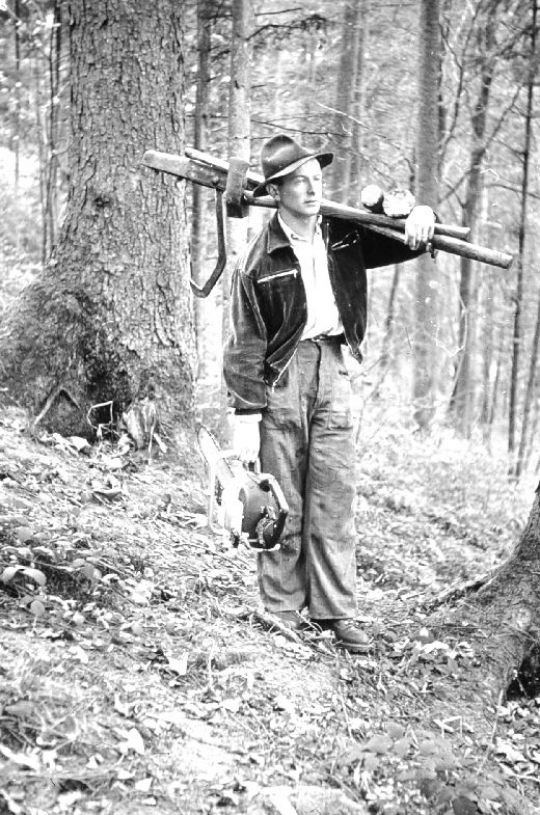 Foto Fällen mit EMS Mc Chulloch