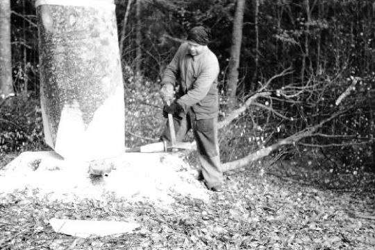 Foto Fällen und Keilen