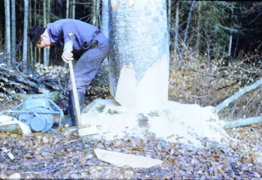 Foto Fällen mit ZMS